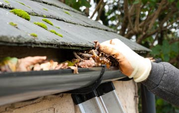 gutter cleaning Arminghall, Norfolk